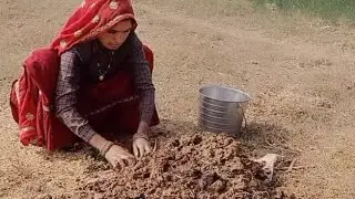 Meri tarah ghar mein kam mein kaun kaun Biji rahata hai