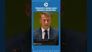 Perancis Resmi Akui Negara Palestina