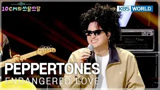 PEPPERTONES - Endangered Love (The Seasons) | KBS WORLD TV 251219