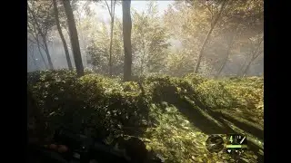 The Random Beauty of Hunter: Call of the Wild