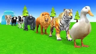 Animals for Kids 🐘🐯 | Funny 3D Animals Color Slide