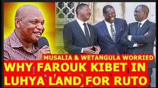 💥💥💥FAROUK KIBET GIVE LUHYA LEADERS SLEEPLESS NIGHTS,  WONDER WHY RUTO IS USING HIM INSTEAD OF THEM