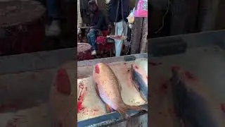 Uruka dhamaka fastival of Bihu people of Assam #Magbihu #viralreels #funny #youtubeshorts #youtube