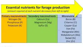 Essential nutrients for forage systems forage drops