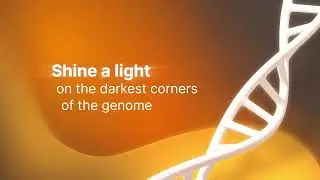 Overview of Illumina Complete Long Reads