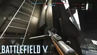 オススメ低レートEMP【BFV】