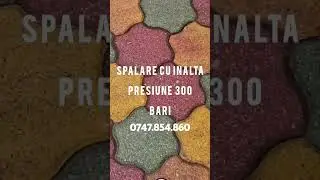 Spalare pavaj acoperis fatade #spalare #pavaj #acoperis #gradina #peisagistica #curatenie #geam