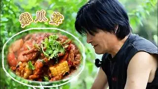 今天做孙女爱吃的无骨鸡爪顺便做个鸡爪宴。#乡村生活#无骨鸡爪