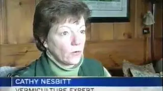 Cathy's Crawly Composters on CTV News