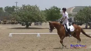 148D James Alliston on Currency Exchange Open Novice Dressage Twin Rivers Ranch July 2019