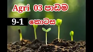 Agri Lesson 03 Soil part-9-1