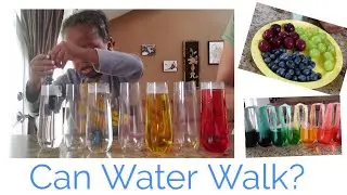 H2O(water) Walking Water-S.T.E.M Lesson Plan | Learning with Aj
