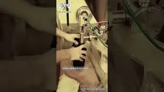 Bespcker Semi Automatic Piston Beverage Honey Shampoo Nail volumeteic Filling Machine