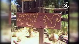 Our Town Pine Valley 1978