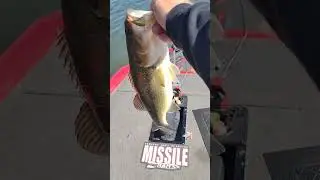 Missal Baits BABY D BOMB#shorts #missilebaits  #
