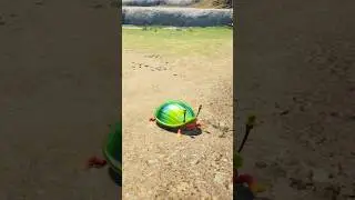 Pikmin's Least Consistent Creature