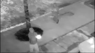CAUGHT ON CAMERA: Suspects sought after shooting in Nobleton