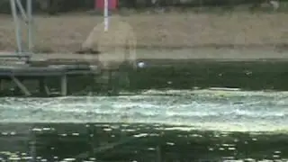 High Diving Board
