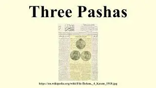 Three Pasa&rsquo;s of the ☪️ Ottoman Empire