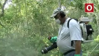 YourObserver.com: How Sarasota Controls the Mosquito Population