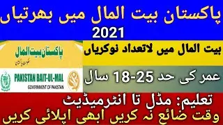 Pakistan Baitulmal Jobs 2021, Online Apply Video