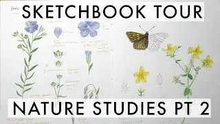 Sketchbook Tour Fall '21: Detailed nature studies (plants, birds, bats) | part 2