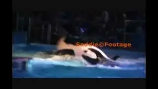 SWT - First Shamu's Rockin' Creep Show - 10/20/12