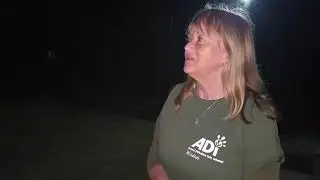 ADIWS Facebook live: lions Lei-ah and Elsa have arrived