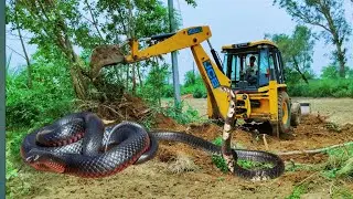 Jcb 3dx Backhoe Machine Mahindra Swaraj New Eicher Sonalika Tractor Over LoadingTrolley Truck video
