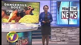 TVJ News: Dangerous Dogs | Laws to Hold Dog Owners Accountable - November 7 2019