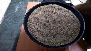 How to roast jeera using Microwave + Grill in LG microwave oven|Making home made jeera powder