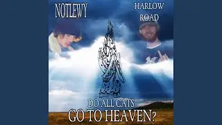 do all cats go to heaven?