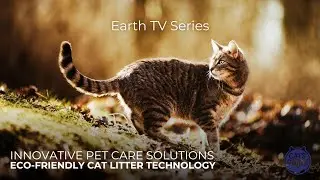 How Cat&rsquo;s Pride Is Leading Innovation in Sustainable Pet Care