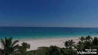 #NatureBeauty,Beautiful palm tree on sea beach
