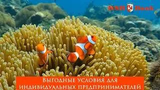 БСБ Банк предлагает!