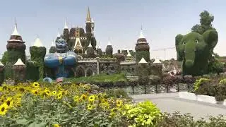 The Gorgeous Dubai Miracle Garden🪴 | More than 150 million flowers