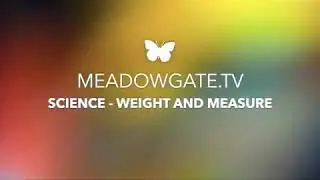 MTV - SCIENCE WEIGHT & MEASURE
