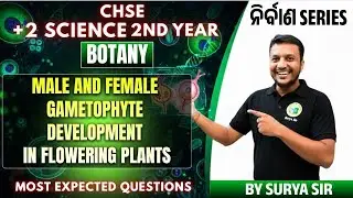 CHSE 2026 Botany Class 12 🔥 Male & Female Gametophyte Development | One Shot Revision