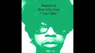 I Can't Wait &bull; Bileebob & Black Echo Zone #shorts