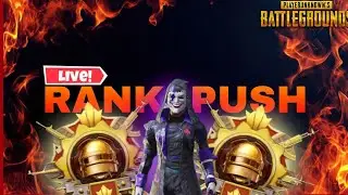 Live streaming of APEX NINJA