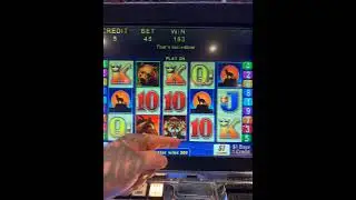 Wild Cougar $45 bets Tachi Palace