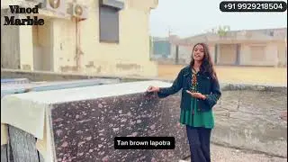 Black Lapataro & Tan Brown Lapataro | Vinod Marbles, Kishangarh