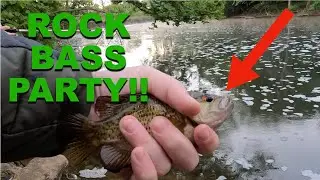Rock Bass Party - River Fishing -Smallmouth Bass in Michigan