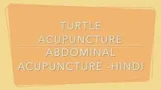 1 Turtle, Abdominal Acupuncture Hindi - Dr Hemant Sharma -8160088512, courses.sharmahemant.in