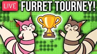 The FULL Furret-Only Pokemon Tournament.