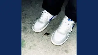 Pesa, Trafica