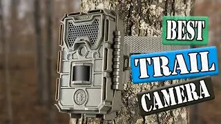 Best Trail Cameras Of 2021