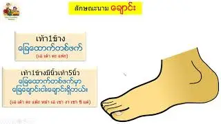 คำลักษณนามในภาษาพม่า   (Study Myanmar language)