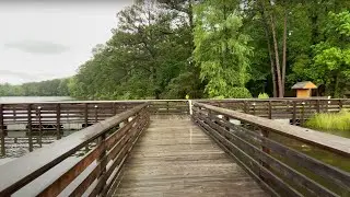 Relaxing Lake Walk in the Rain with Umbrella | Nature Sounds for Sleep and Study