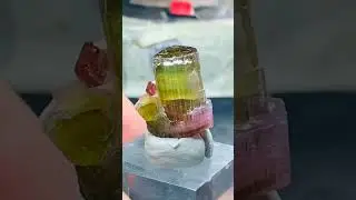 water melon tourmaline specimen #crystals #quartz #crystalpalace #aquamarine #worldcup  #foryou